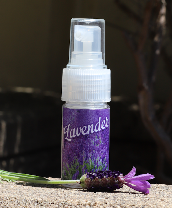 Lavender